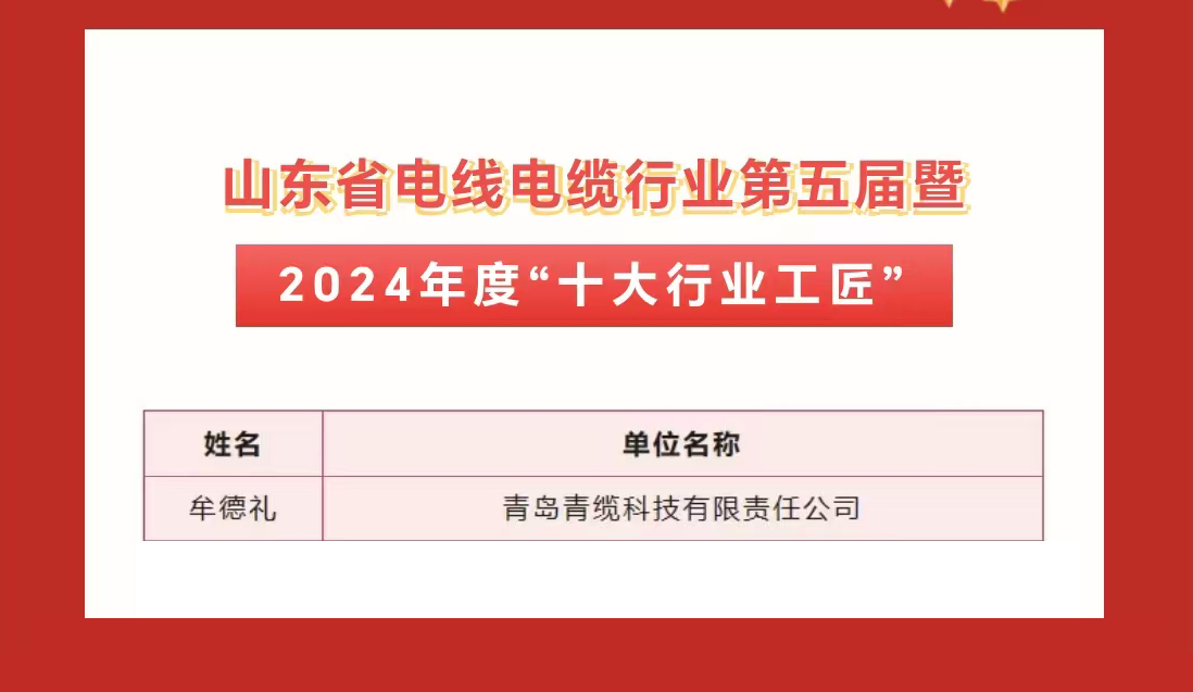 青纜職工獲評(píng)2024年度&ldquo;十大杰出青年&rdquo;及&ldquo;十大行業(yè)工匠&rdquo;