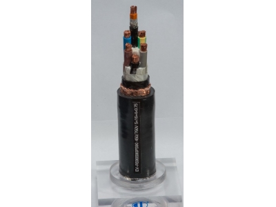 電動汽車充電樁用充電電纜2.jpg 電動汽車充電樁用充電電纜(圖2)