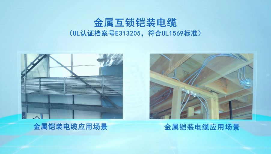 銅芯內(nèi)連鎖鎧裝MC電纜5.jpg 銅芯內(nèi)連鎖鎧裝MC電纜(圖5)