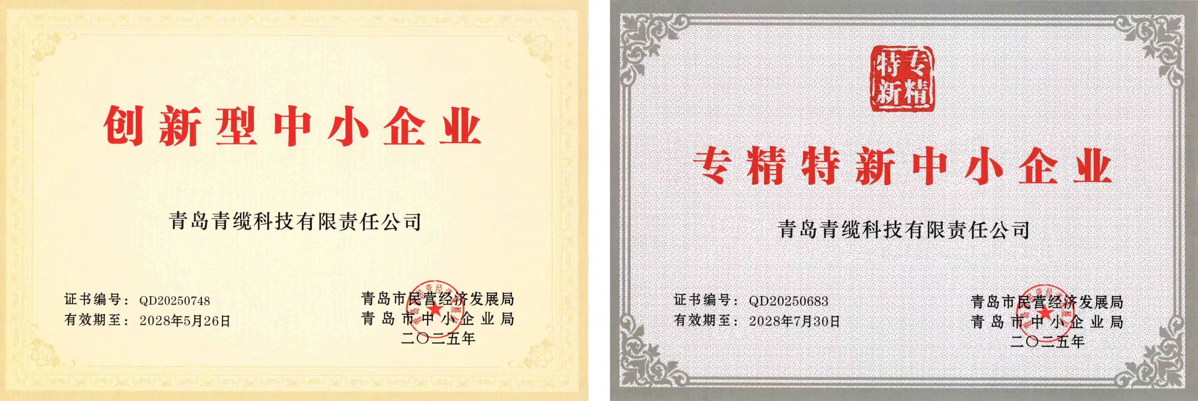 青纜獲評(píng)“創(chuàng)新型中小企業(yè)”并順利通過(guò)“專(zhuān)精特新中小企業(yè)”復(fù)評(píng)(圖1)